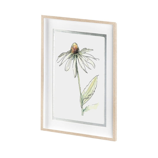 Mercana - Echinacea II by Panpan Zhang a Framed Art Print Matted under Glass - 13649 view 2