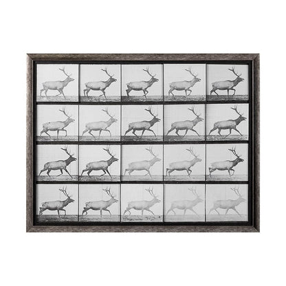 Mercana - Elk Trotting by Eadweard Muybridge a Hand Embellished Textured Framed Art Print Matted under Glass - 13682 view 1