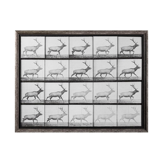 Mercana - Elk Trotting by Eadweard Muybridge a Hand Embellished Textured Framed Art Print Matted under Glass - 13682 view 1