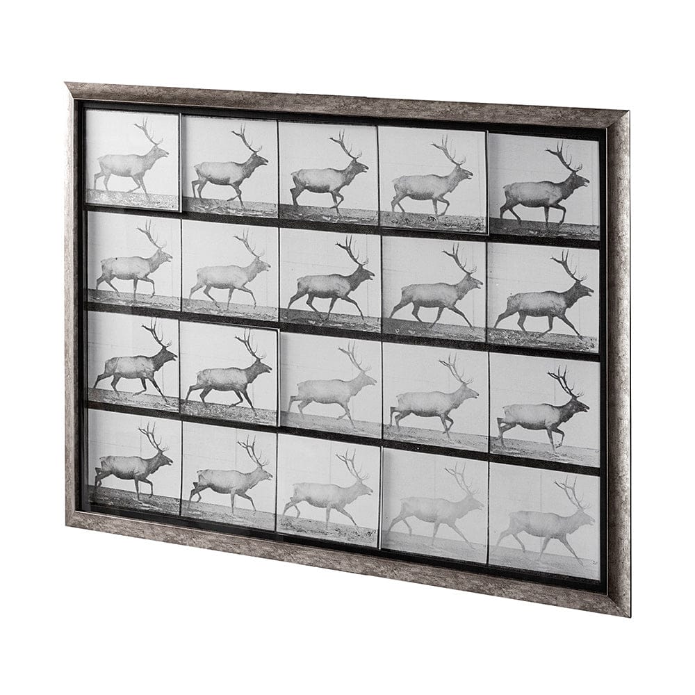Mercana - Elk Trotting by Eadweard Muybridge a Hand Embellished Textured Framed Art Print Matted under Glass - 13682 view 2