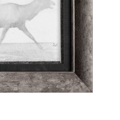 Mercana - Elk Trotting by Eadweard Muybridge a Hand Embellished Textured Framed Art Print Matted under Glass - 13682 view 3