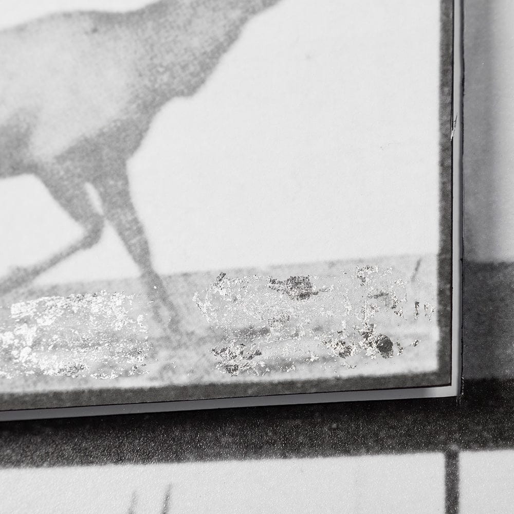 Mercana - Elk Trotting by Eadweard Muybridge a Hand Embellished Textured Framed Art Print Matted under Glass - 13682 view 6