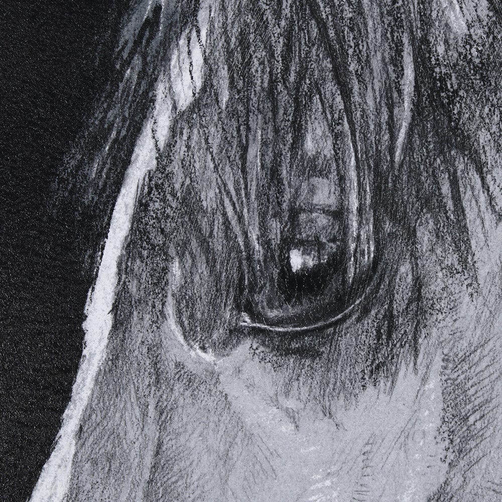 Mercana - Equestrian Portrait by Mercana Studio Hand Embellished Textured Framed Art Print Matted under Glass - 14972 view 7