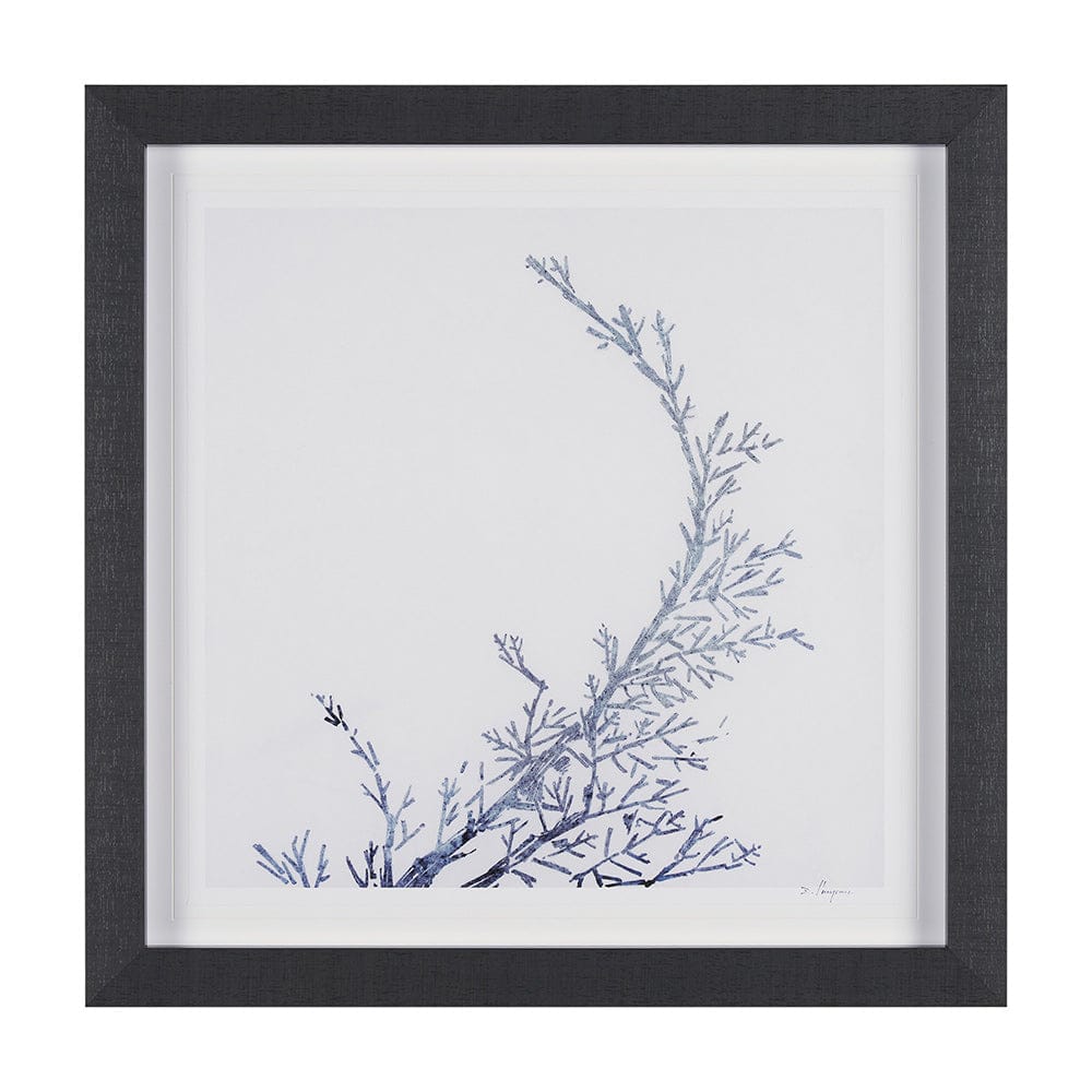 Mercana - Evergreen Branches IV by Mercana Studio a Hand Embellished Framed Art Print Matted under Glass - 15547 view 1