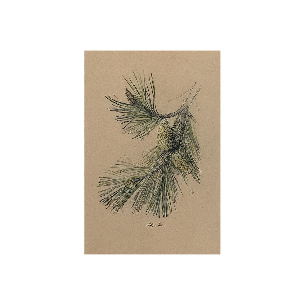 Mercana - Evergreen collection I by Victoria a Hand Embellished Textured Canvas - 102044-S view 1