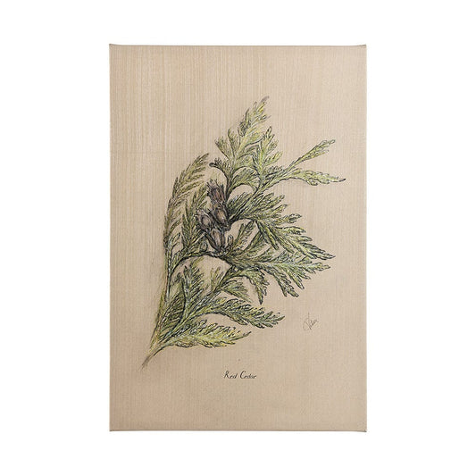 Mercana - Evergreen collection III by Victoria a Hand Embellished Textured Canvas - 102046-L view 1
