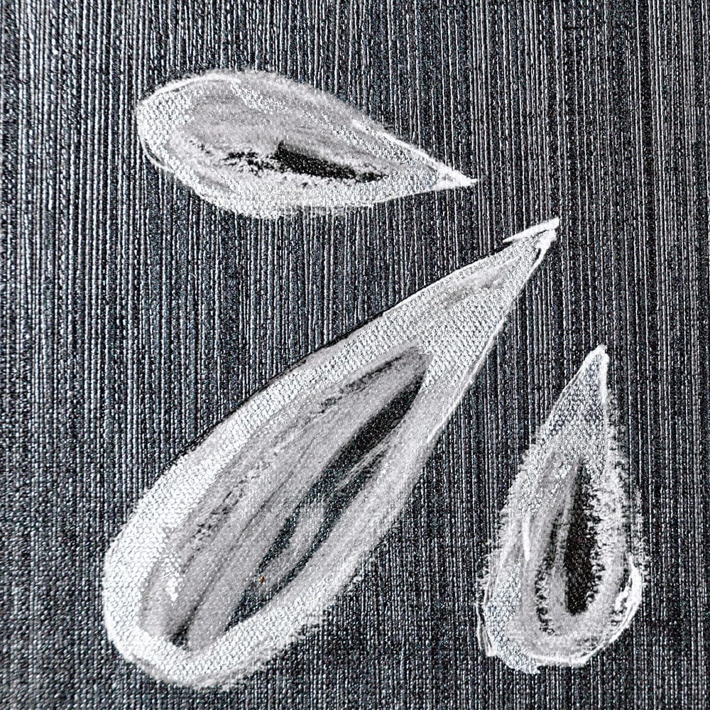 Mercana - Farm Fresh Apples by Mercana Studio a Hand Embellished Textured Canvas - 101657-L view 6