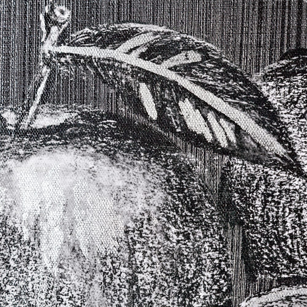 Mercana - Farm Fresh Apples by Mercana Studio a Hand Embellished Textured Canvas - 101657-S view 7