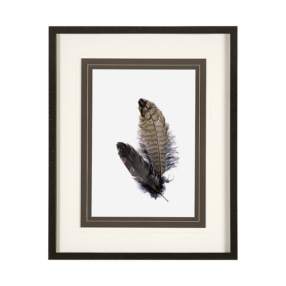 Mercana - Feathered Friends by Nancy Crowell a Framed Art Print Matted under Glass - 13352 view 1