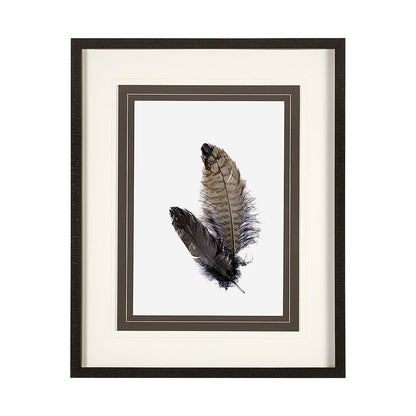 Mercana - Feathered Friends by Nancy Crowell a Framed Art Print Matted under Glass - 13352 view 1