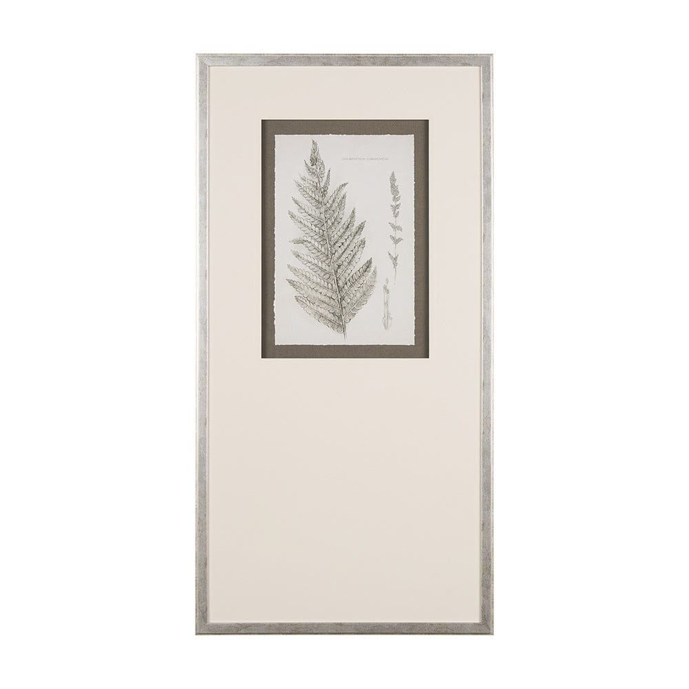 Mercana - Fern Study I by Mercana Studio Hand Embelished Framed Art Print Matted under Glass - 15424 view 1