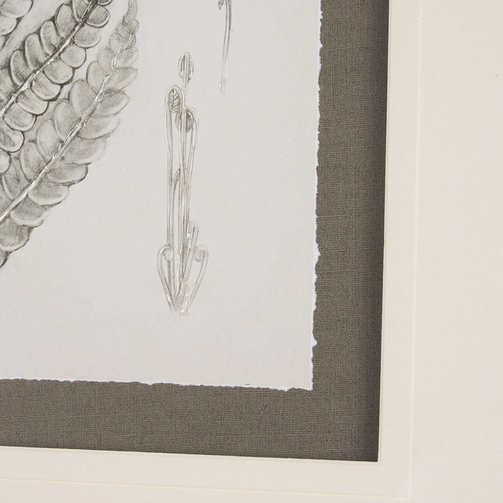 Mercana - Fern Study I by Mercana Studio Hand Embelished Framed Art Print Matted under Glass - 15424 view 6