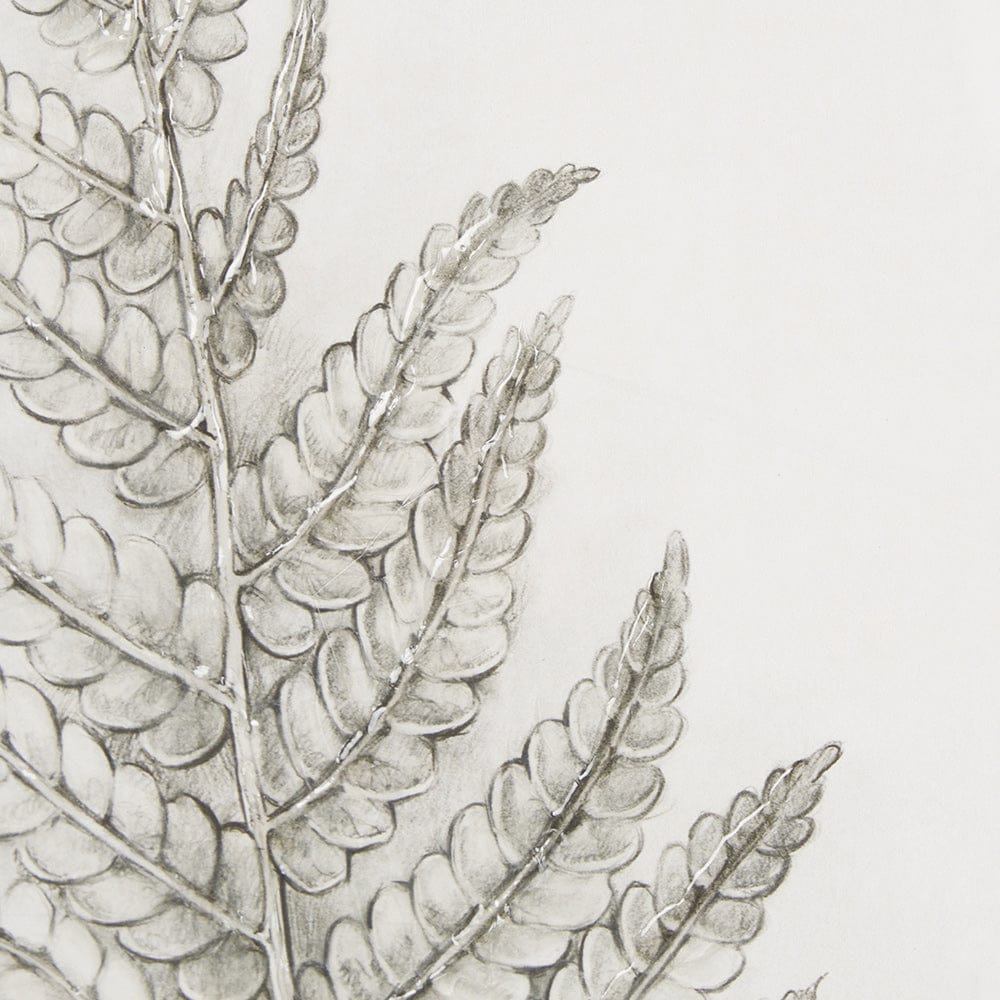 Mercana - Fern Study I by Mercana Studio Hand Embelished Framed Art Print Matted under Glass - 15424 view 7
