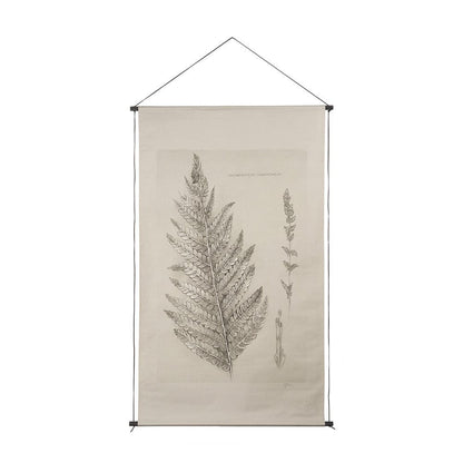 Mercana - Fern Study I Osmundastrum Cinnamomeum Framed Art Print - 15512 view 1