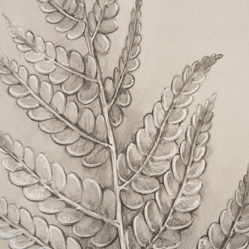 Mercana - Fern Study I Osmundastrum Cinnamomeum Framed Art Print - 15512 view 5