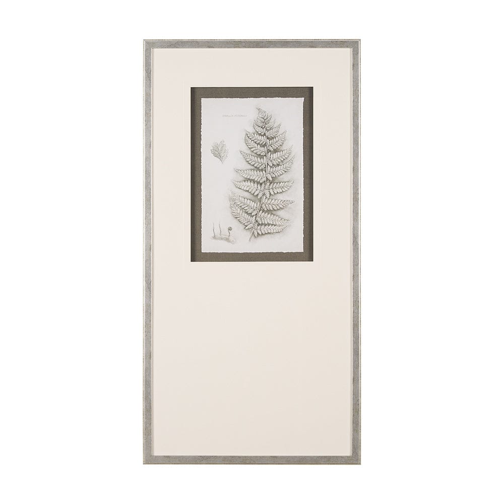 Mercana - Fern Study II by Mercana Studio Hand Embelished Framed Art Print Matted under Glass - 15425 view 1
