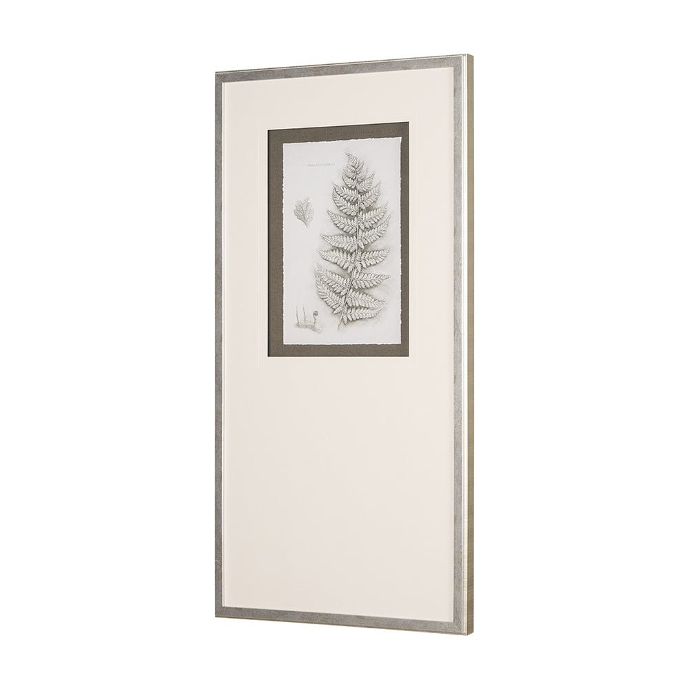 Mercana - Fern Study II by Mercana Studio Hand Embelished Framed Art Print Matted under Glass - 15425 view 2