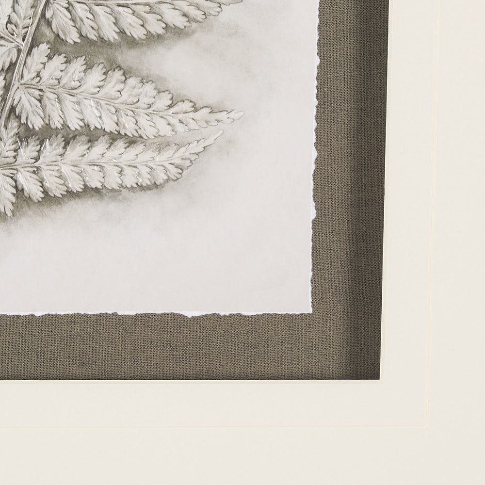 Mercana - Fern Study II by Mercana Studio Hand Embelished Framed Art Print Matted under Glass - 15425 view 6