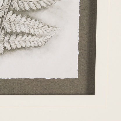 Mercana - Fern Study II by Mercana Studio Hand Embelished Framed Art Print Matted under Glass - 15425 view 6
