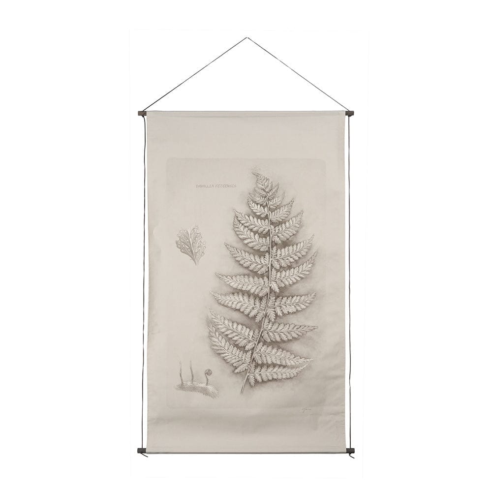 Mercana - Fern Study II Davallia Fejeensis by Mercana Studio a Hand Embellished Framed Art Print - 15513 view 1