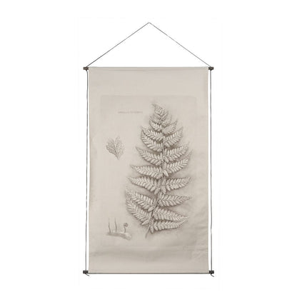 Mercana - Fern Study II Davallia Fejeensis by Mercana Studio a Hand Embellished Framed Art Print - 15513 view 1