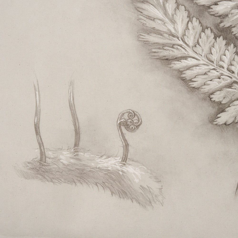 Mercana - Fern Study II Davallia Fejeensis by Mercana Studio a Hand Embellished Framed Art Print - 15513 view 4