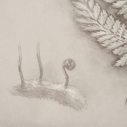 Mercana - Fern Study II Davallia Fejeensis by Mercana Studio a Hand Embellished Framed Art Print - 15513 view 4