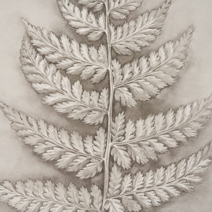 Mercana - Fern Study II Davallia Fejeensis by Mercana Studio a Hand Embellished Framed Art Print - 15513 view 5