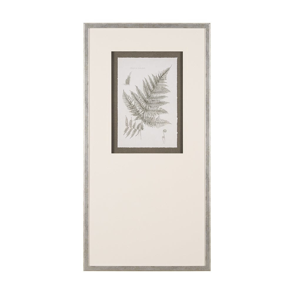 Mercana - Fern Study III by Mercana Studio Hand Embelished Framed Art Print Matted under Glass - 15426 view 1