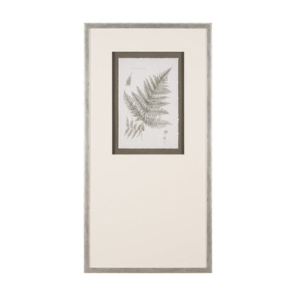 Mercana - Fern Study III by Mercana Studio Hand Embelished Framed Art Print Matted under Glass - 15426 view 1