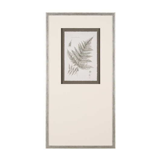 Mercana - Fern Study III by Mercana Studio Hand Embelished Framed Art Print Matted under Glass - 15426 view 1