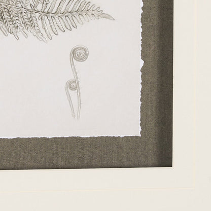 Mercana - Fern Study III by Mercana Studio Hand Embelished Framed Art Print Matted under Glass - 15426 view 6