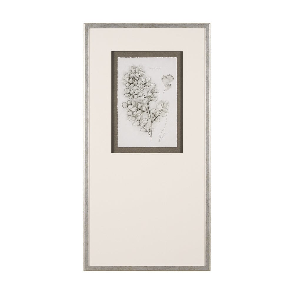 Mercana - Fern Study IV Capillus Veneris Mercana Studio Hand Embelished Framed Art Print Matted under Glass - 15427 view 1