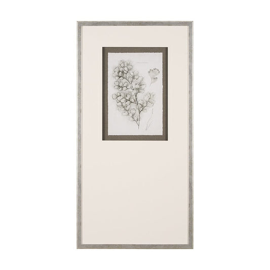 Mercana - Fern Study IV Capillus Veneris Mercana Studio Hand Embelished Framed Art Print Matted under Glass - 15427 view 1