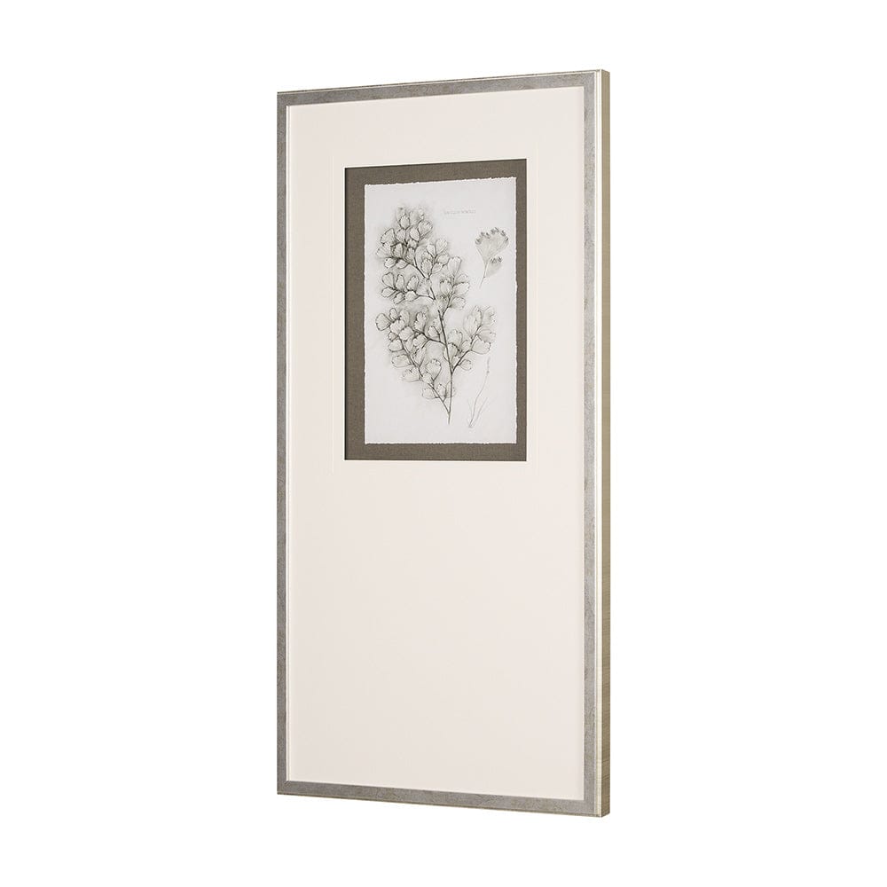 Mercana - Fern Study IV Capillus Veneris Mercana Studio Hand Embelished Framed Art Print Matted under Glass - 15427 view 2