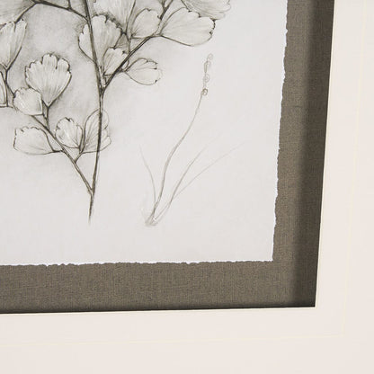 Mercana - Fern Study IV Capillus Veneris Mercana Studio Hand Embelished Framed Art Print Matted under Glass - 15427 view 6