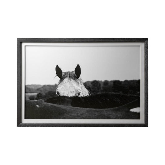 Mercana - Flirt by Aledanda a Framed Art Print Matted under Glass - 12492 view 1