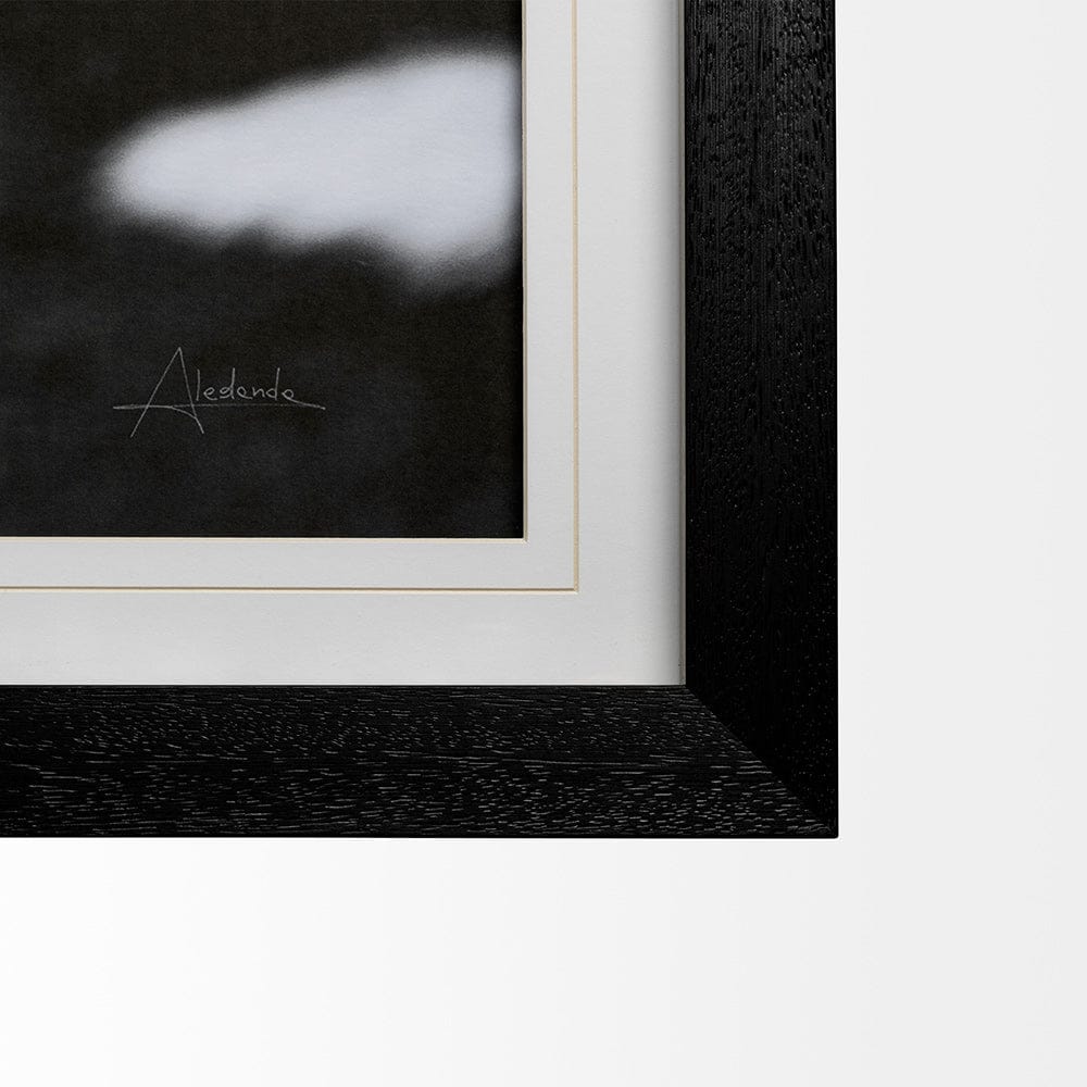 Mercana - Flirt by Aledanda a Framed Art Print Matted under Glass - 12492 view 4