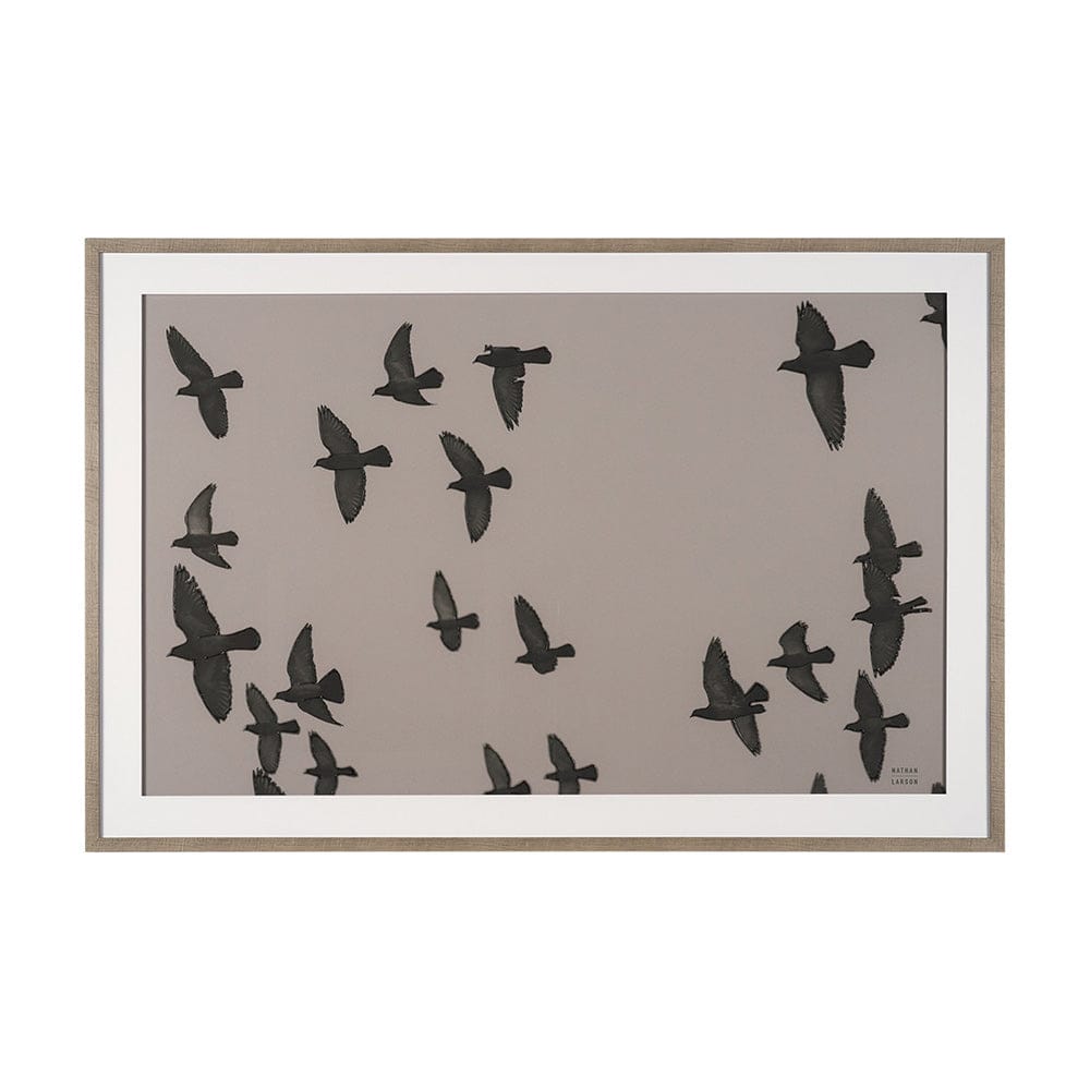 Mercana - Flock I by Nathan Larsona Hand Embellished Framed Photo Print under Glass - 15862 view 1