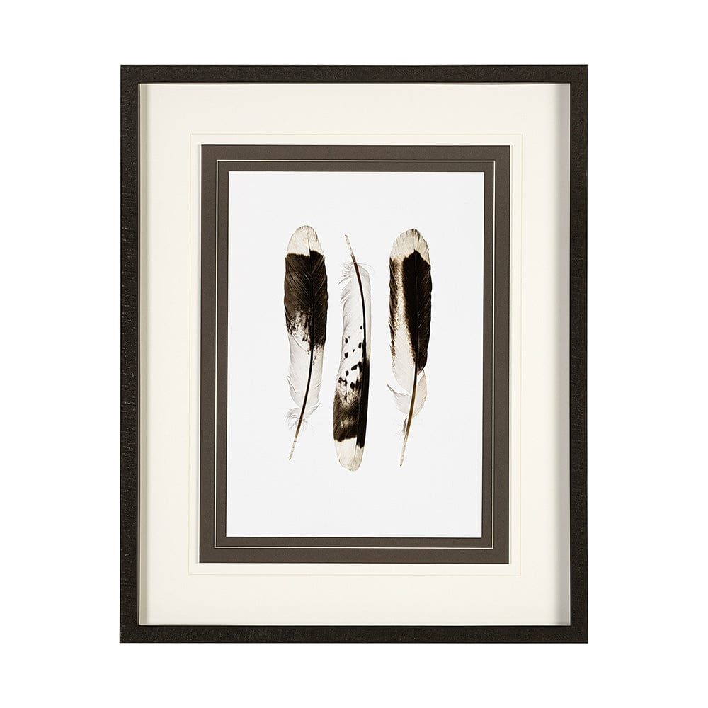 Mercana - Flock together by Nancy Crowell a Framed Art Print Matted under Glass - 13354 view 1