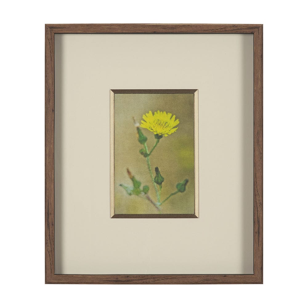 Mercana - Floral Bliss by Michael Banks a Hand Embellished Framed Art Print Matted under Glass - 15804 view 1