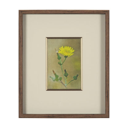 Mercana - Floral Bliss by Michael Banks a Hand Embellished Framed Art Print Matted under Glass - 15804 view 1