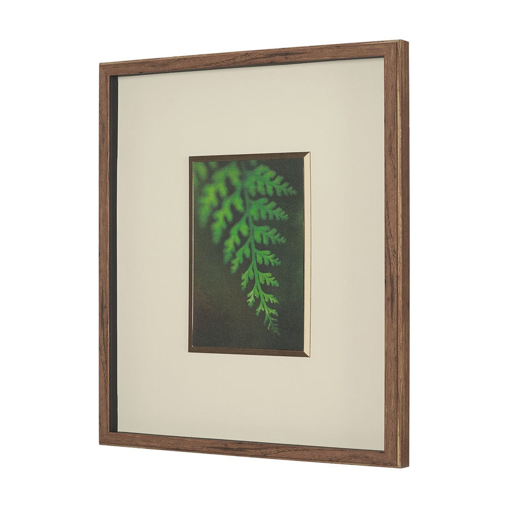 Mercana - Floral Bliss by Michael Banks a Hand Embellished Framed Art Print Matted under Glass - 15804 view 2
