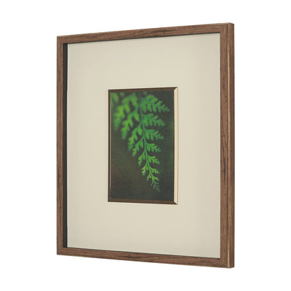 Mercana - Floral Bliss by Michael Banks a Hand Embellished Framed Art Print Matted under Glass - 15804 view 2