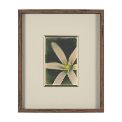 Mercana - Floral Finesse by Michael Banks a Hand Embellished Framed Art Print Matted under Glass - 15802 view 1
