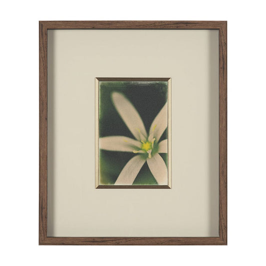 Mercana - Floral Finesse by Michael Banks a Hand Embellished Framed Art Print Matted under Glass - 15802 view 1