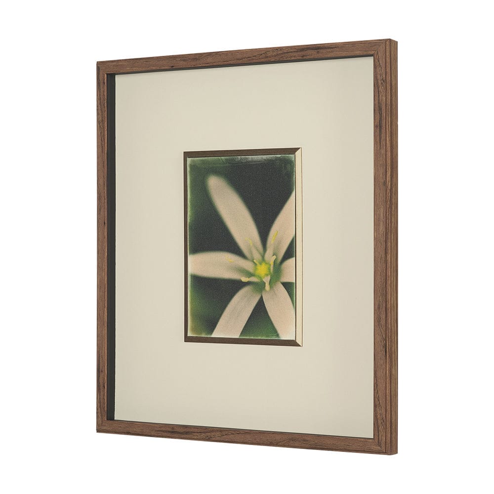 Mercana - Floral Finesse by Michael Banks a Hand Embellished Framed Art Print Matted under Glass - 15802 view 2