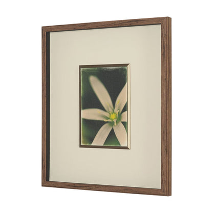 Mercana - Floral Finesse by Michael Banks a Hand Embellished Framed Art Print Matted under Glass - 15802 view 2