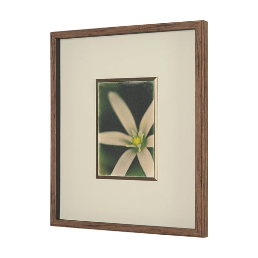 Mercana - Floral Finesse by Michael Banks a Hand Embellished Framed Art Print Matted under Glass - 15802 view 2