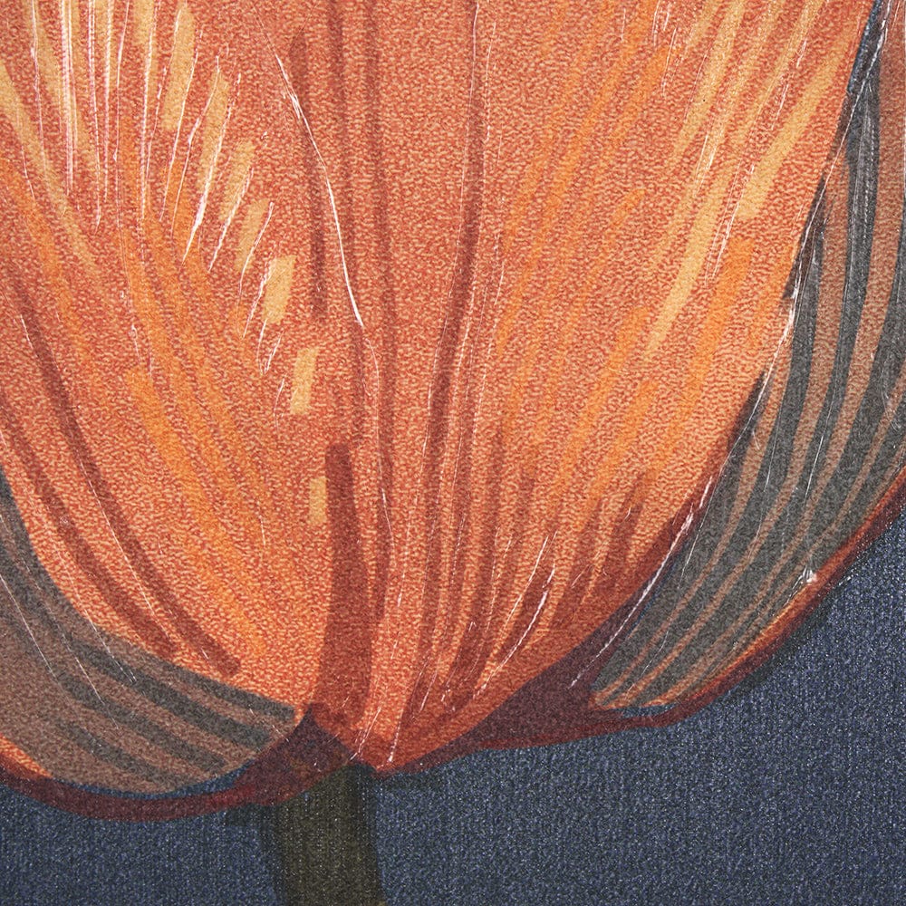 Mercana - Flower Portrait II TULIP by Mercana Studio a Hand Embellished Textured Framed Art Print - 15242 view 6